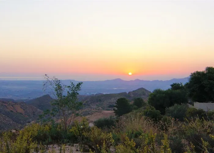 Hotel El Pinar 5*